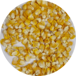 10 DEHYDRATED SWEET CORNS-modified
