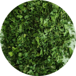 2 DEHYDRATED CORIANDER LEAVES-modified