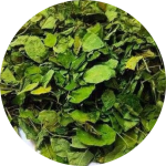 7 DEHYDRATED MORINGA LEAVES-modified
