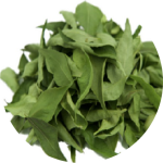 8 DEHYDRATED NEEM LEAVES-modified