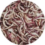 Red-Onion-Kibbled